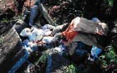 illegal dumping