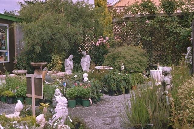 Plant shop Clareville