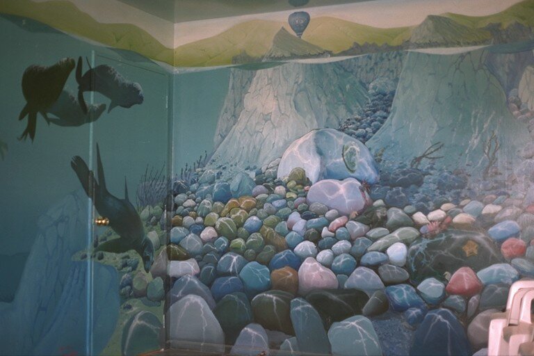 the Paua Shell factory