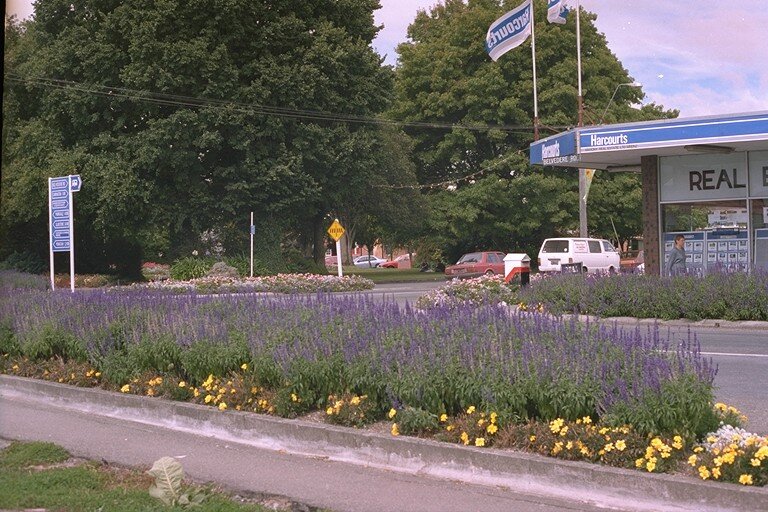 view to one of our parks