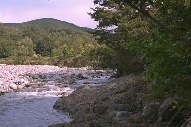 Waiohine gorge