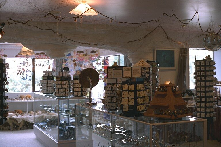 the Paua Shell factory