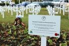 Fields of rememberance