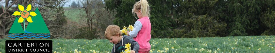 Middlerun daffodil festival