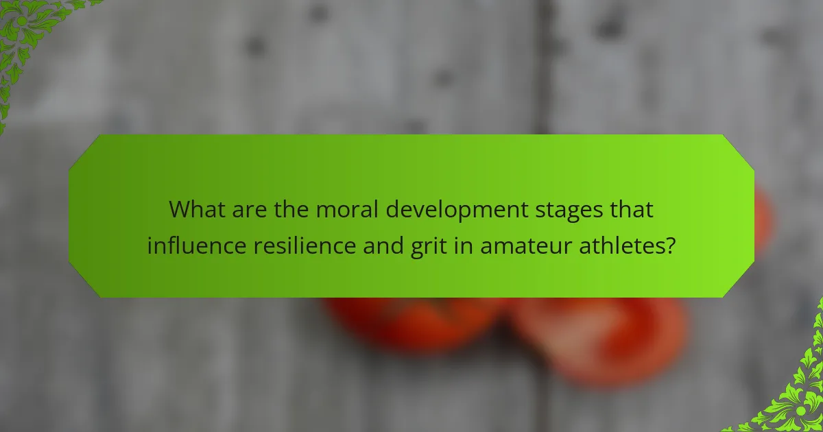 What are the moral development stages that influence resilience and grit in amateur athletes?