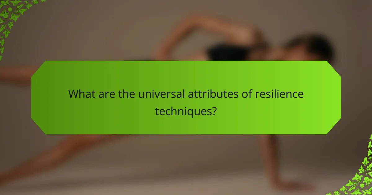 What are the universal attributes of resilience techniques?